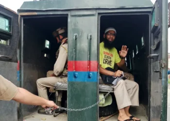 కాశ్మీరీ జర్నలిస్ట్ ఆసిఫ్ సుల్తాన్‌ విడుదల