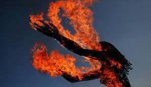 దళిత బాలిక సజీవ దహనం