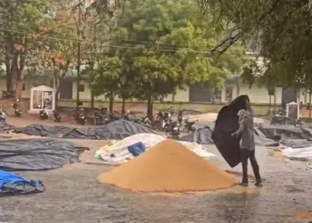 కరీంనగర్ జిల్లాలో భారీ వర్షం…! 