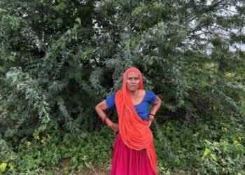 స్త్రీవాద శరదృతువు