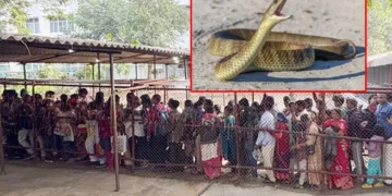 పాముకాటులో నిజమెంత?